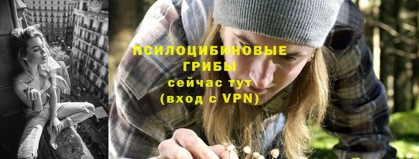 бошки Козельск