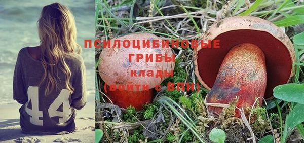метамфетамин Козловка