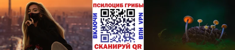 наркота Кораблино Галлюциногенные грибы Cubensis
